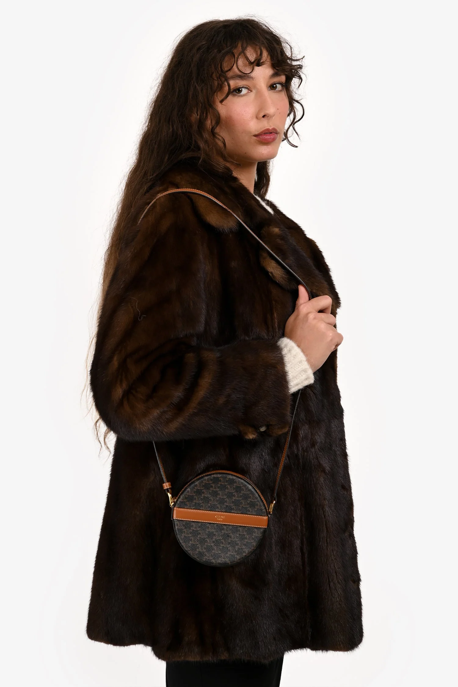 Celine 2020 Brown Canvas/Leather Triomphe Round Crossbody - Image 11