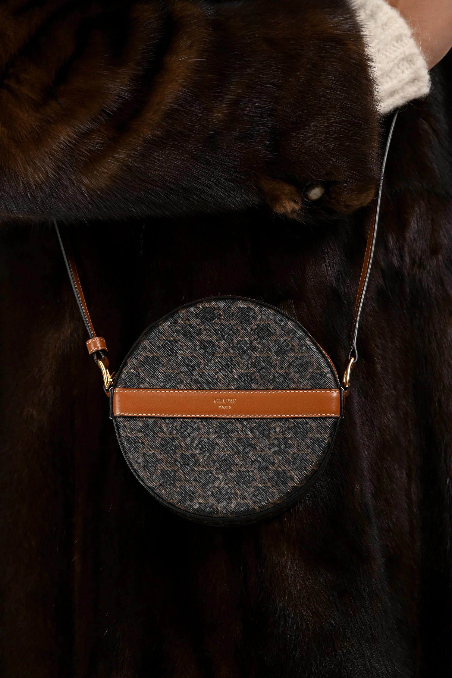 Celine 2020 Brown Canvas/Leather Triomphe Round Crossbody - Image 9