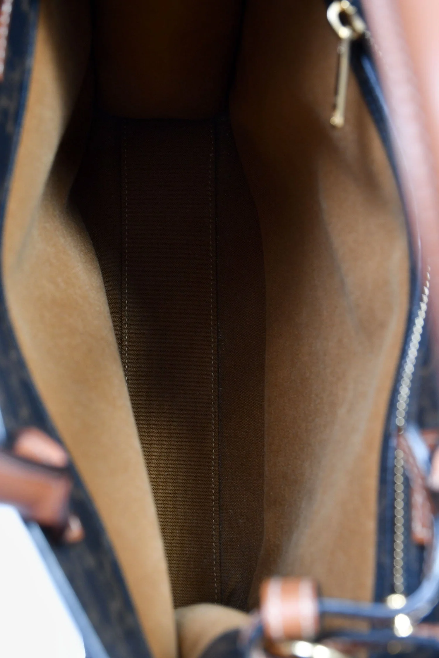 Celine Brown Triomphe Canvas Small Vertical Tote - Image 6