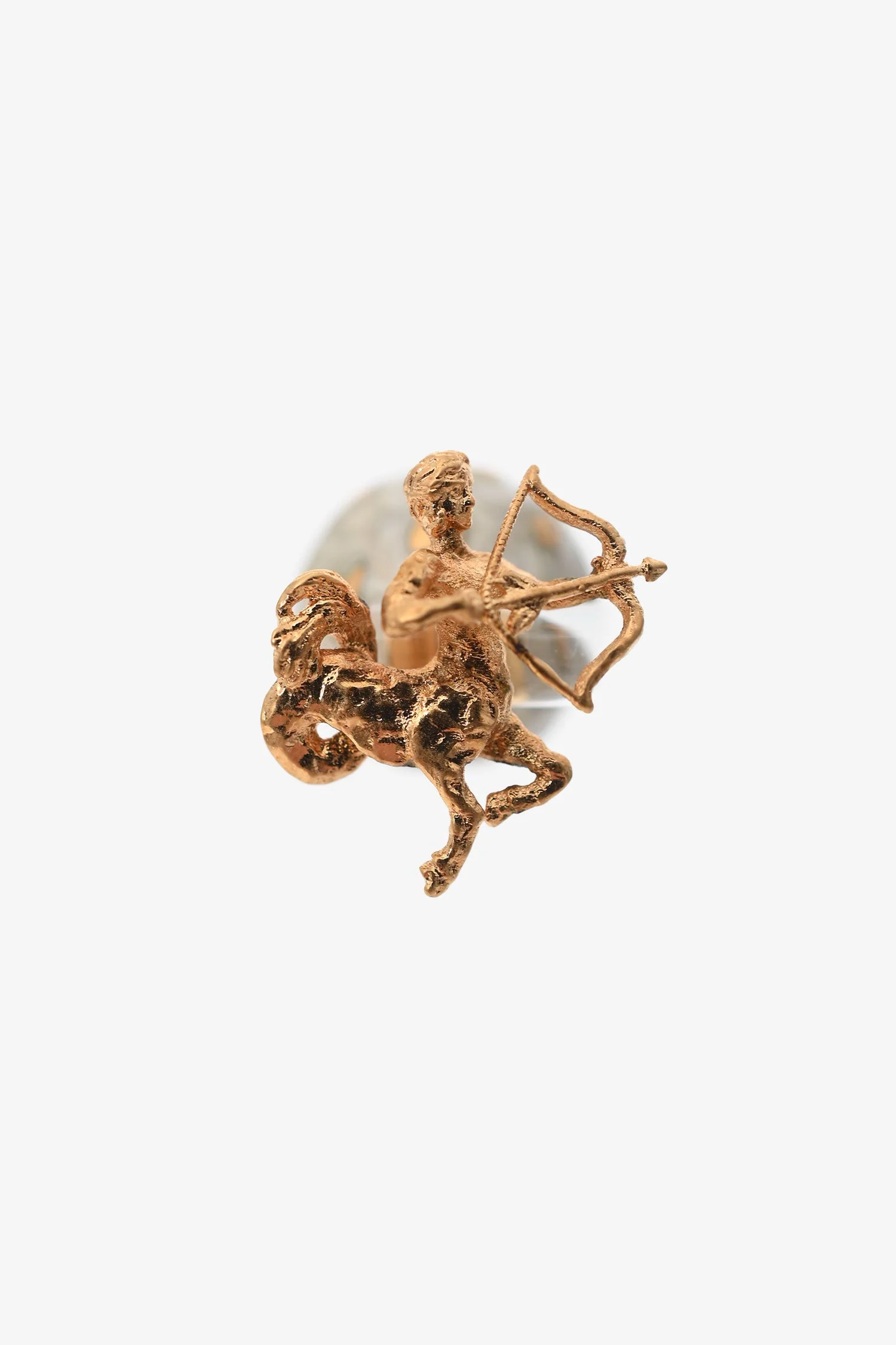 Christian Dior Resin Zodiaddict Lion Earrings - Image 2