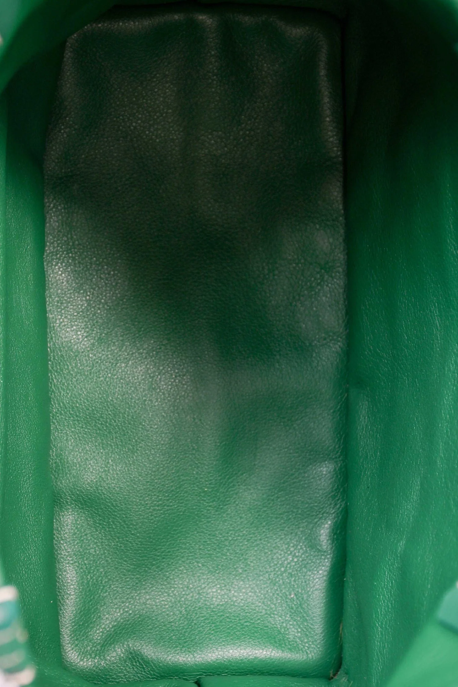 Goyard Anjou Mini Tote - Green (NWT) - Image 7
