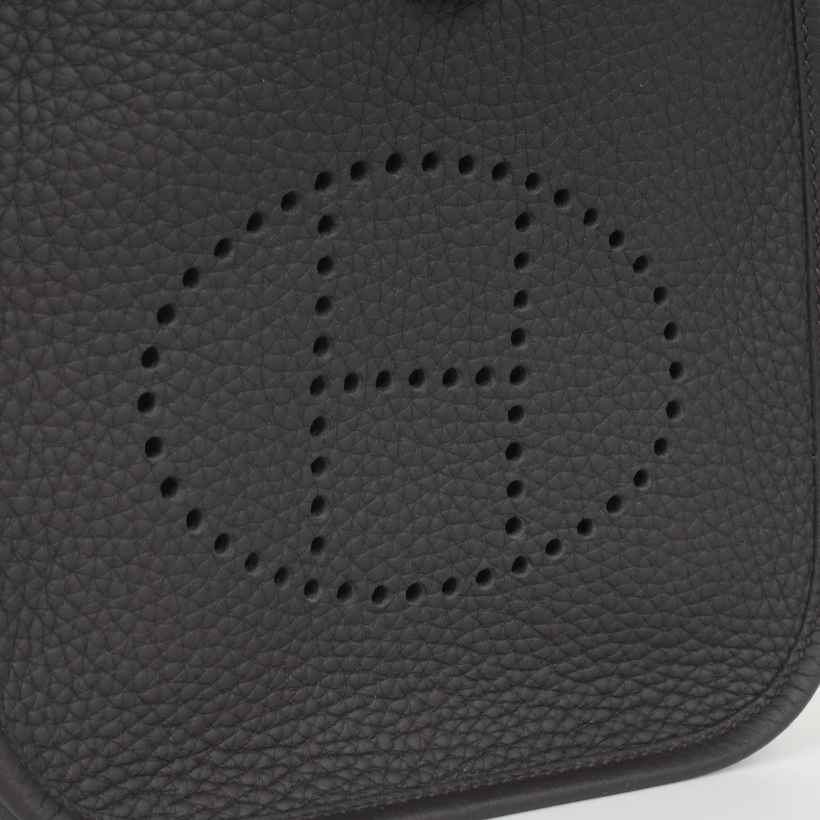 Hermès Evelyne TPM - Prunoir | Palladium Hardware - Image 6