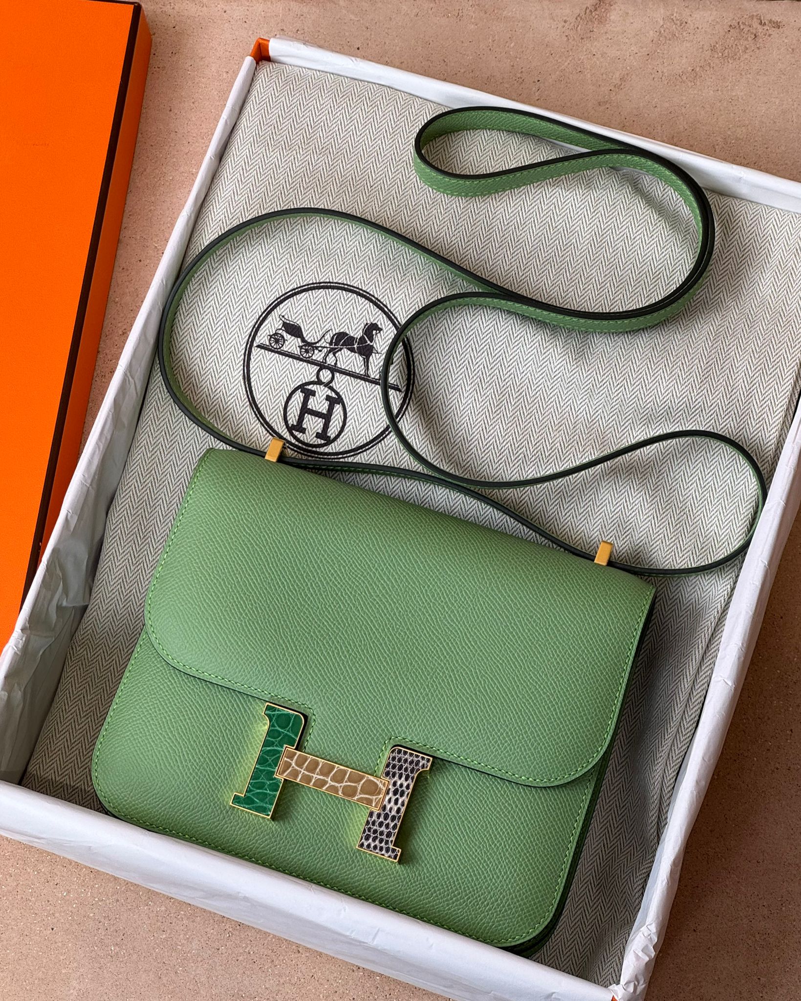 Hermès Constance 18 - Vert Crique Epsom / Alligator / Lizard | Gold Hardware - Image 9