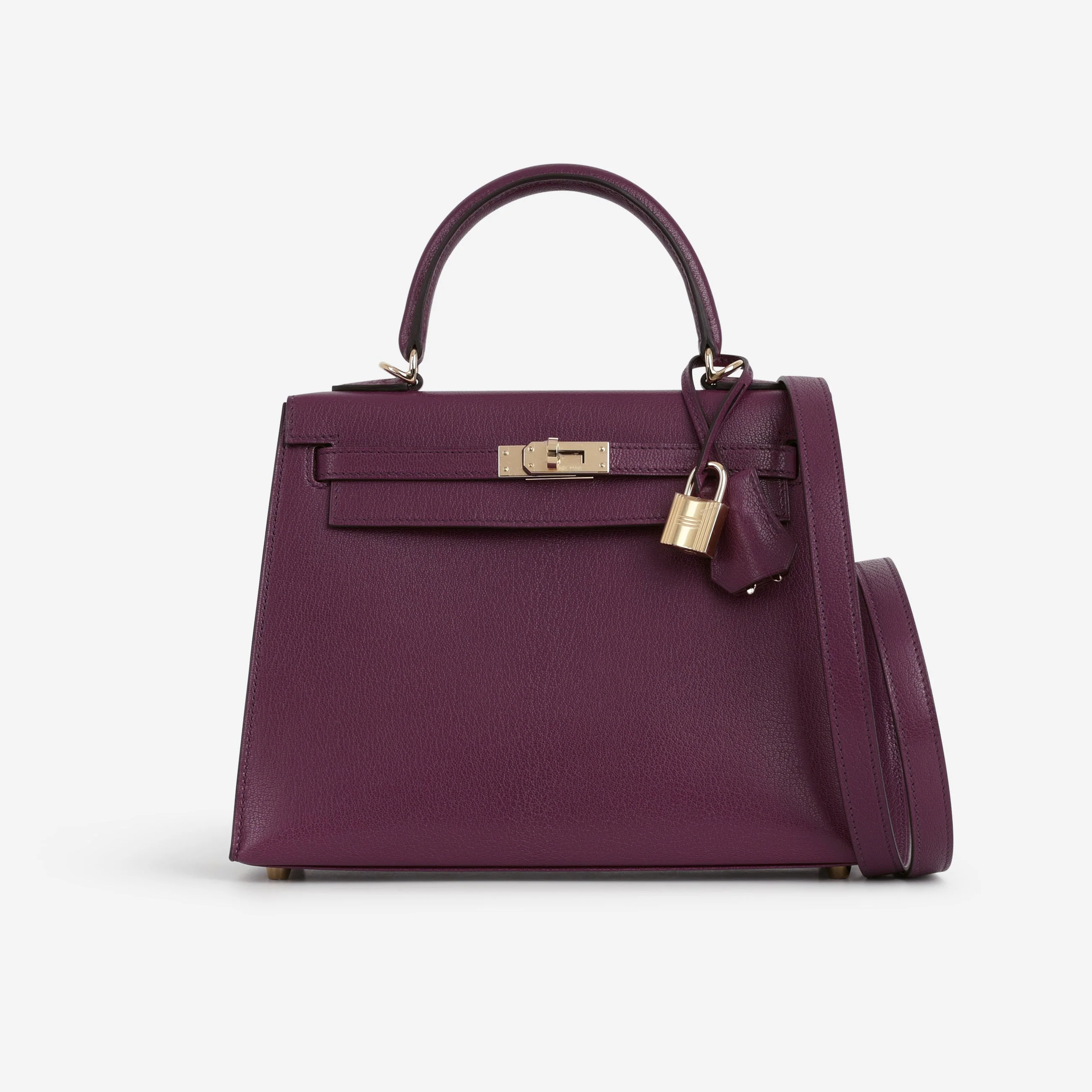 Hermès Kelly 25 - Anemone Chevre Chamkila | Permbrass Hardware - Image 2
