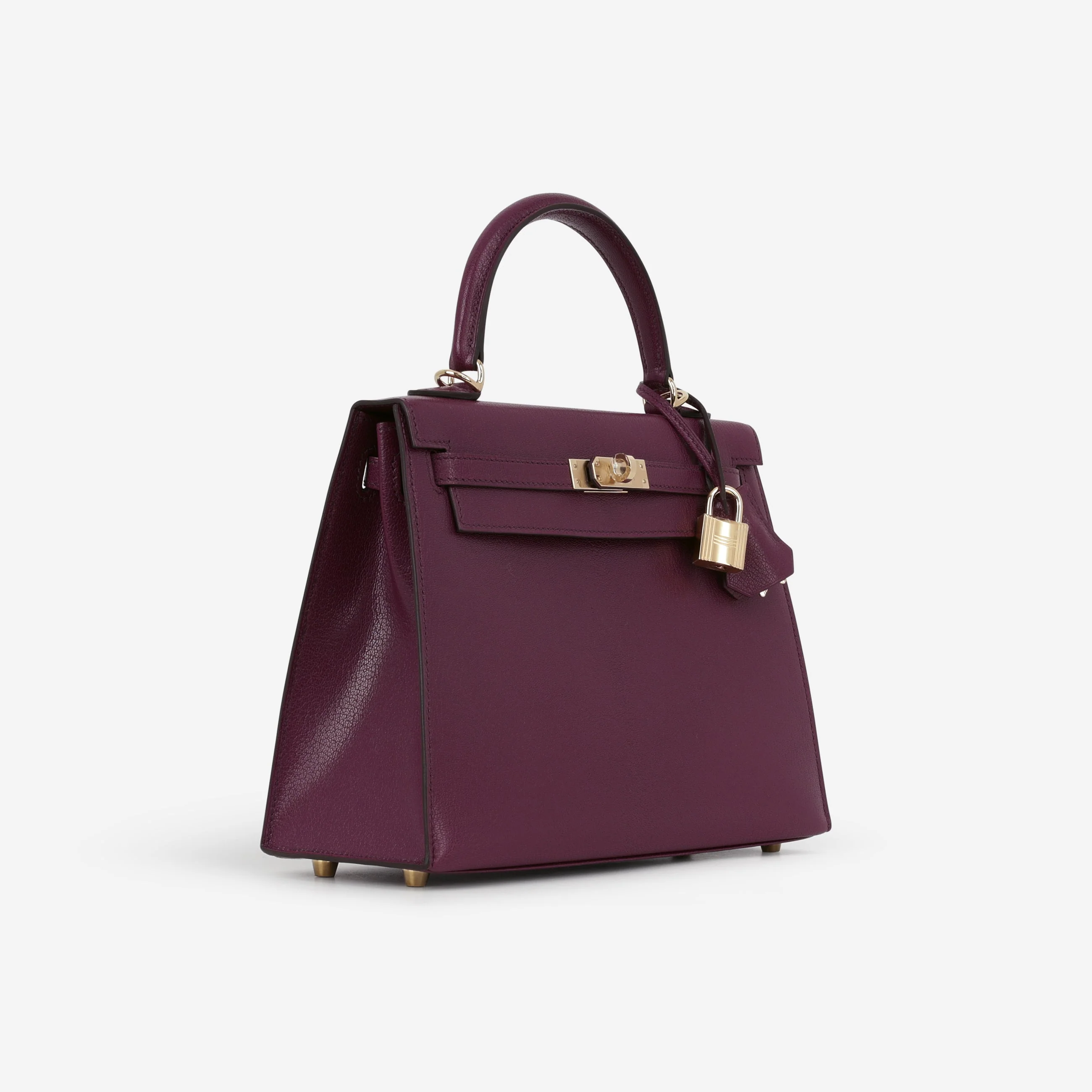 Hermès Kelly 25 - Anemone Chevre Chamkila | Permbrass Hardware - Image 4