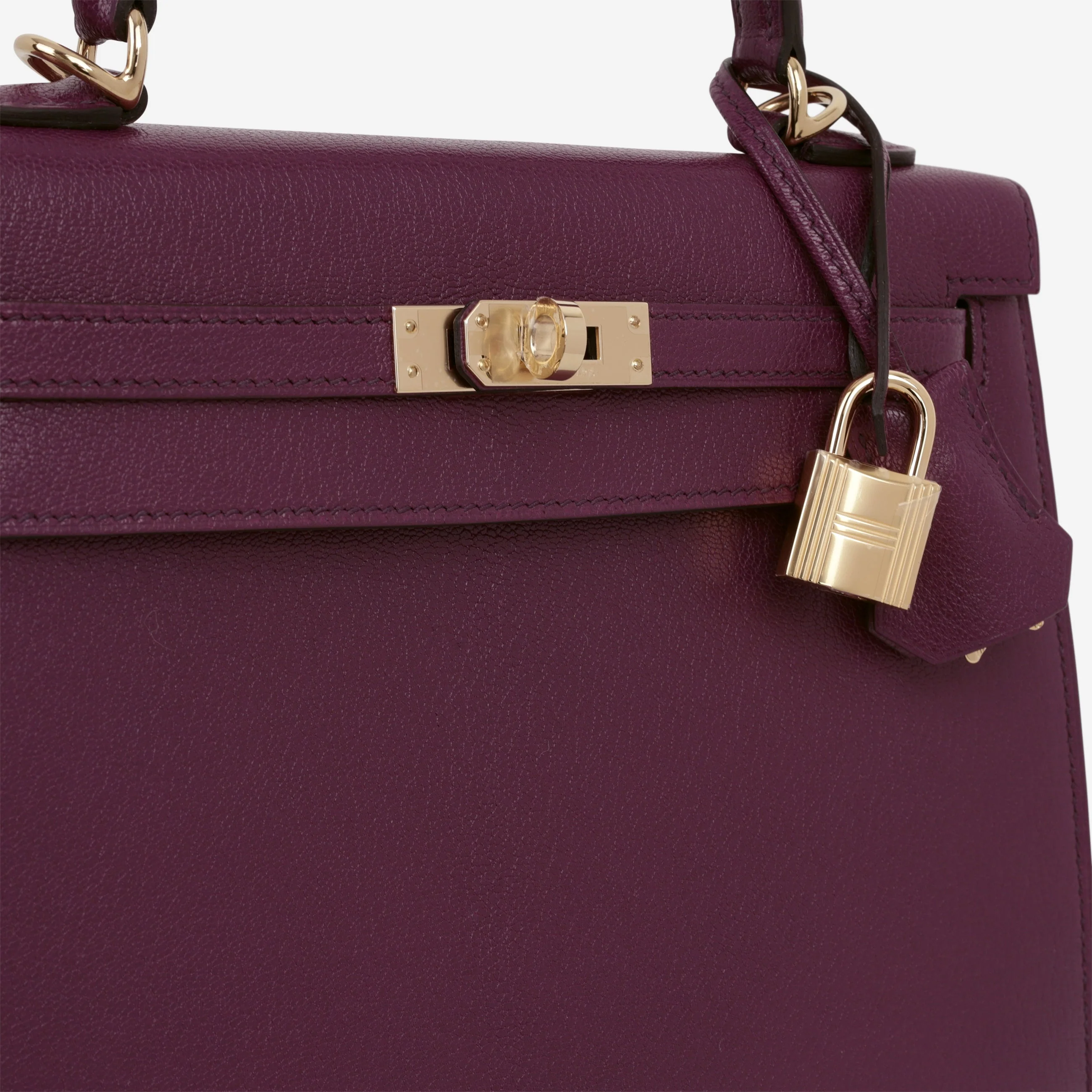 Hermès Kelly 25 - Anemone Chevre Chamkila | Permbrass Hardware - Image 9