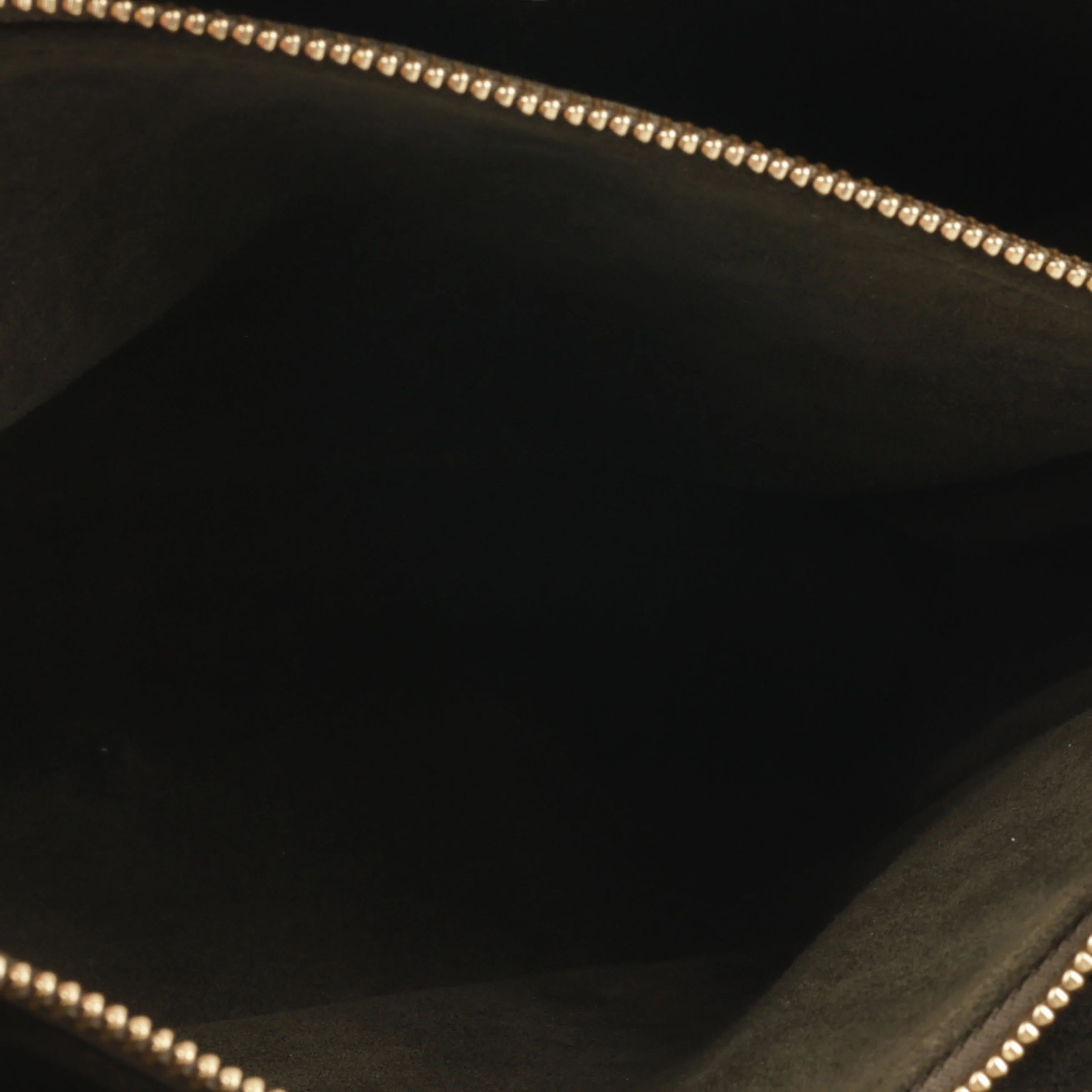 Louis Vuitton Coussin PM - Monogram Empreinte | Gold Hardware - Image 7