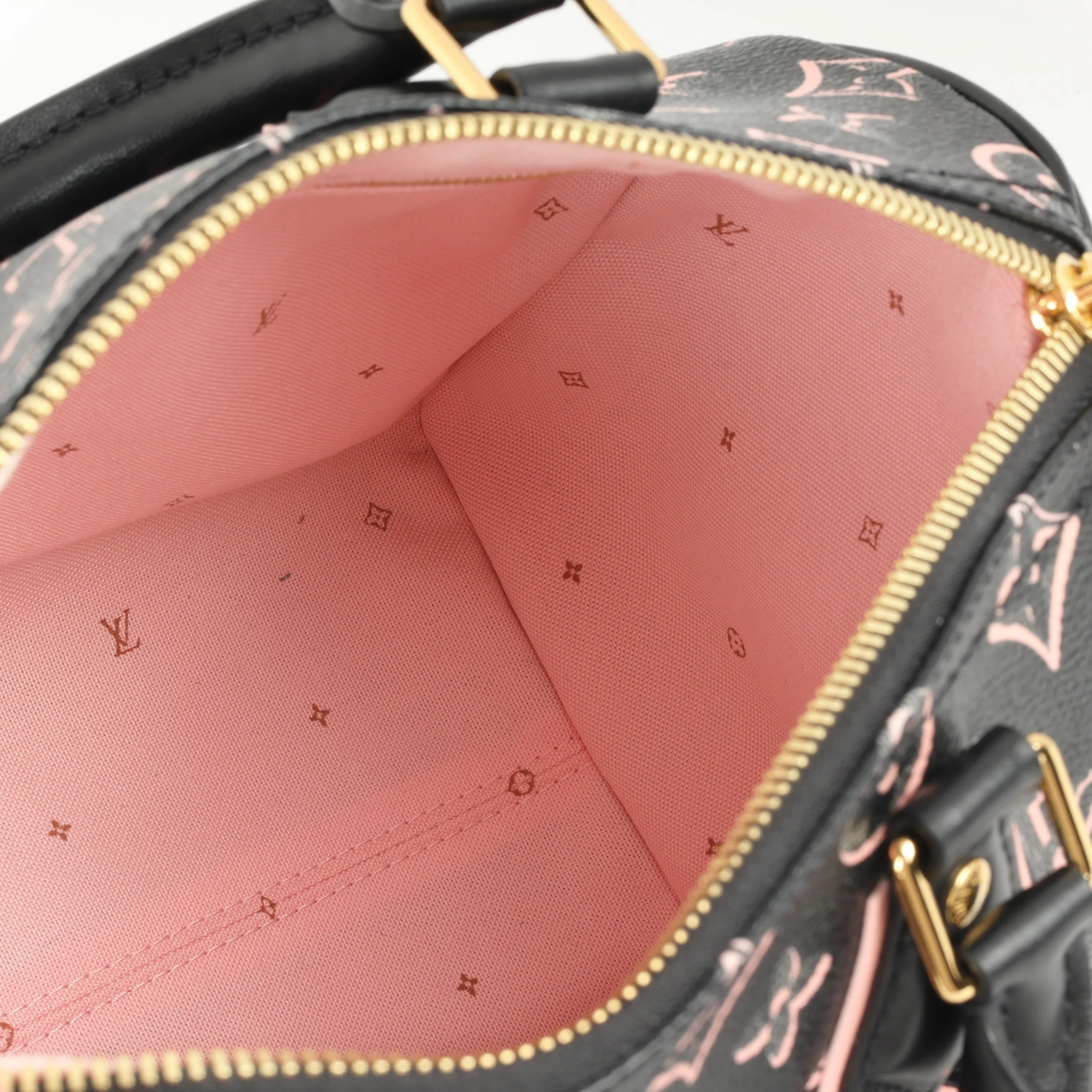 Louis Vuitton Speedy 25 Bandoulieré Fall For You - Image 6