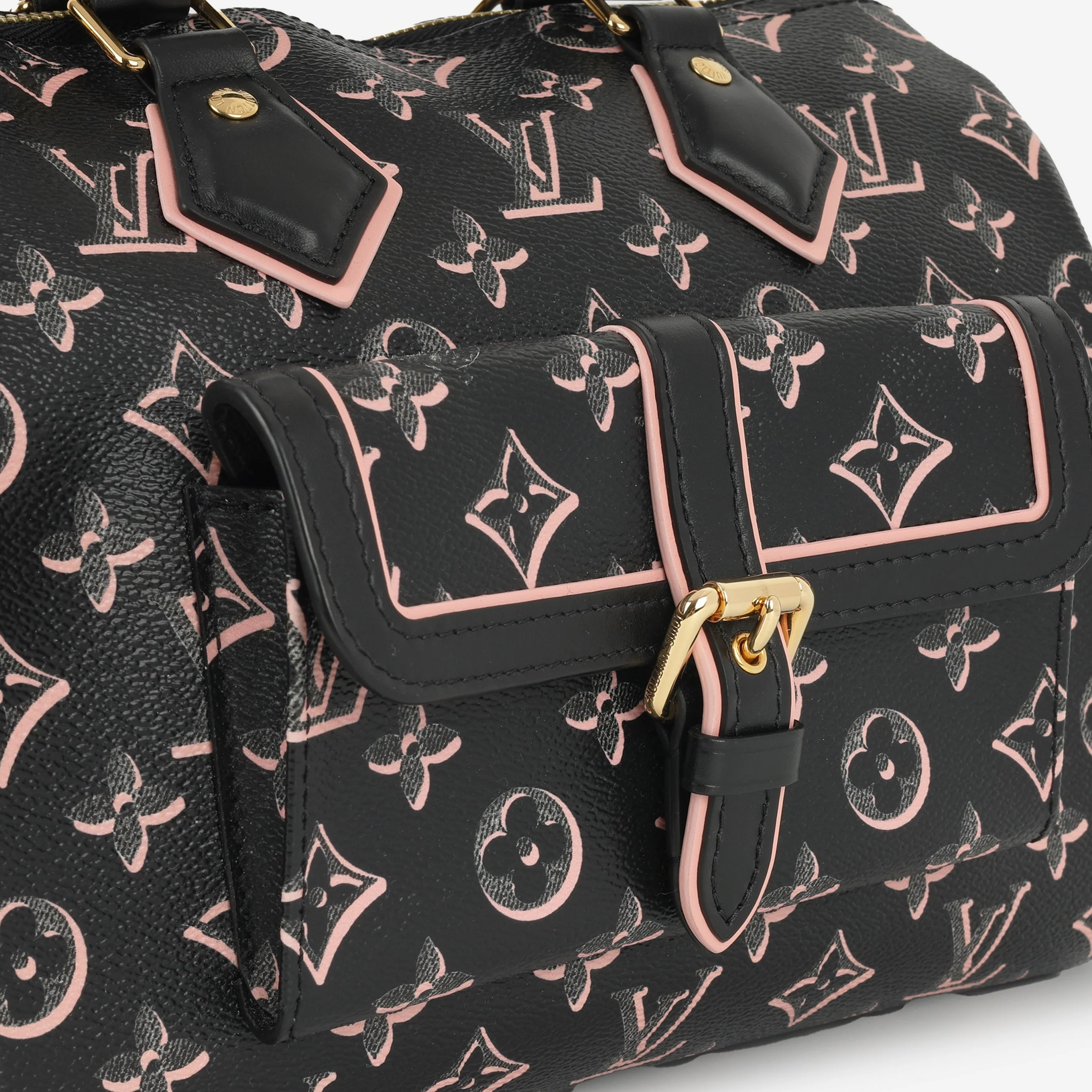 Louis Vuitton Speedy 25 Bandoulieré Fall For You - Image 7