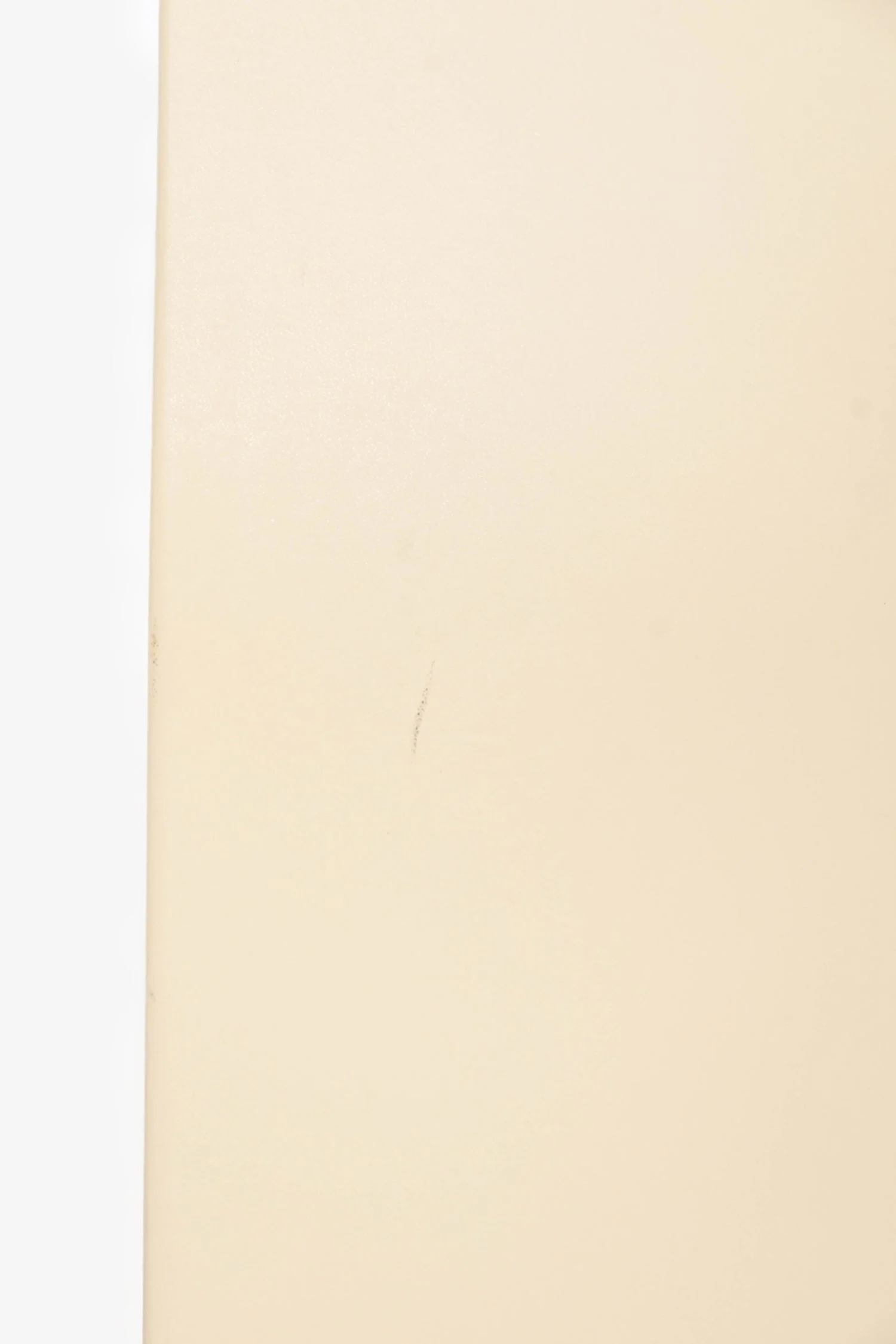 Stella McCartney Cream Leather Flat Tote - Image 6